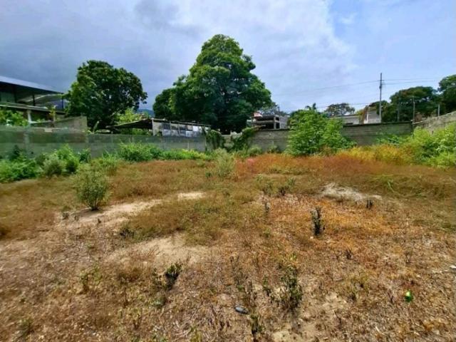 Terreno en venta en Vargas