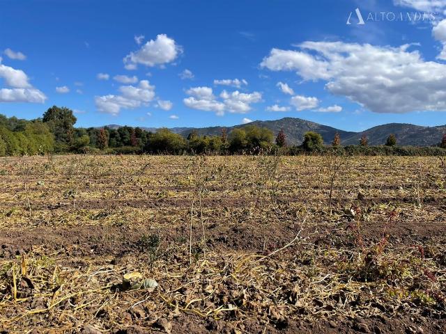 Terreno en Palmilla