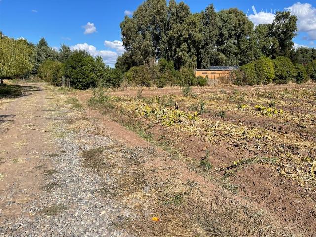 Terreno en Palmilla