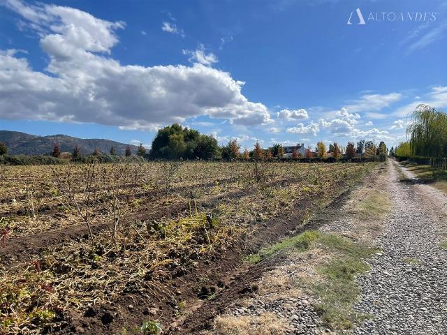 Terreno en Palmilla