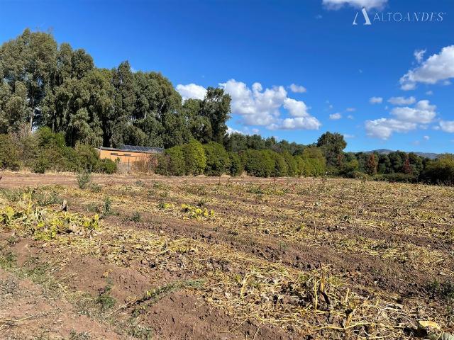 Terreno en Palmilla