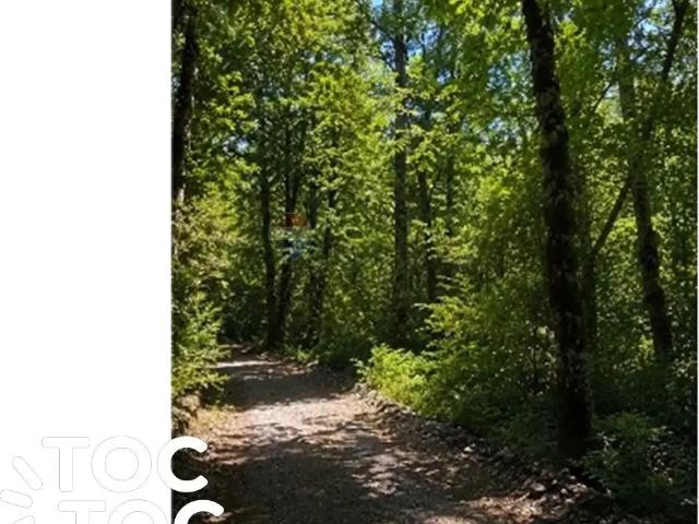 Terreno en venta en Neltume, Panguipulli