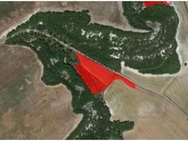 Local Comercial en venta en Canedos, Simancas