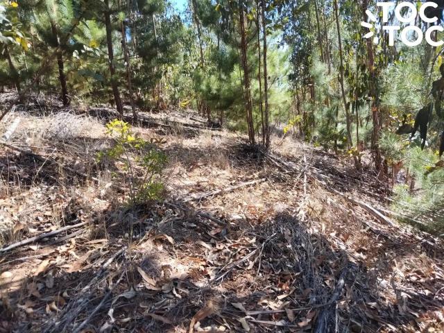 Terreno en venta en Paredones, Libertador General Bernardo O'higgins