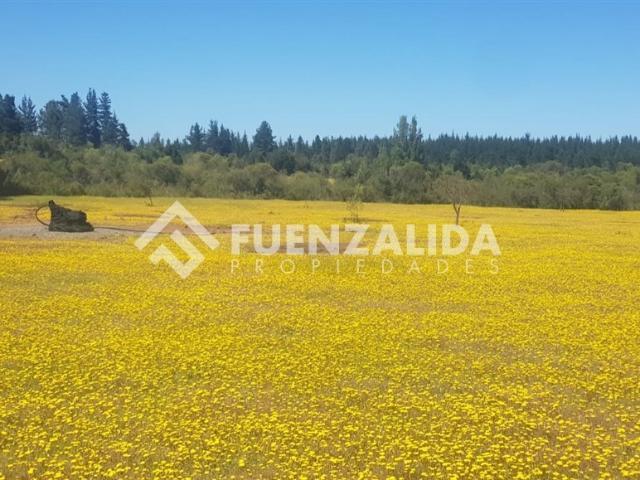 Terreno en Parral