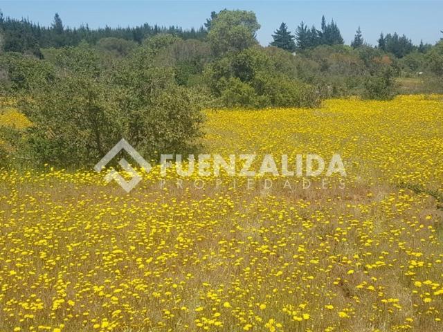 Terreno en Parral