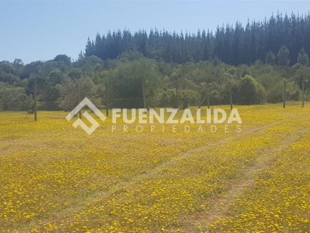 Terreno en Parral