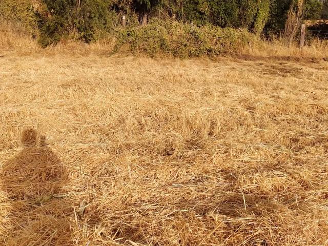 Terreno en venta en San Clemente, Parral