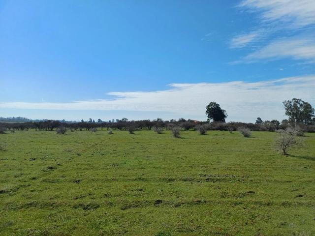 Terreno en Parral