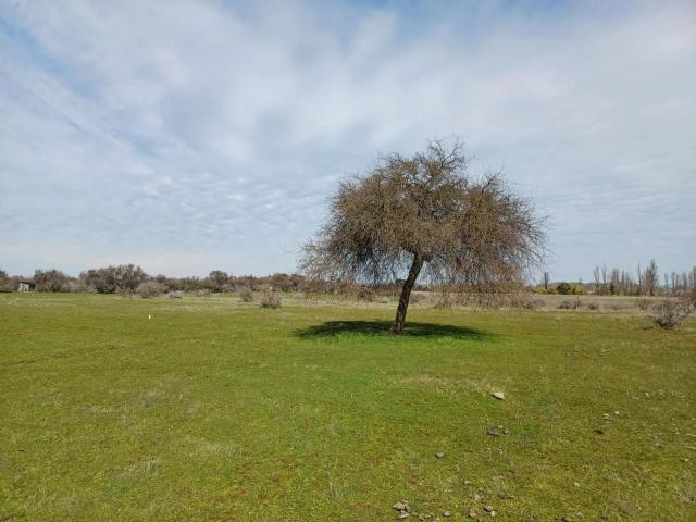 Terreno en Parral