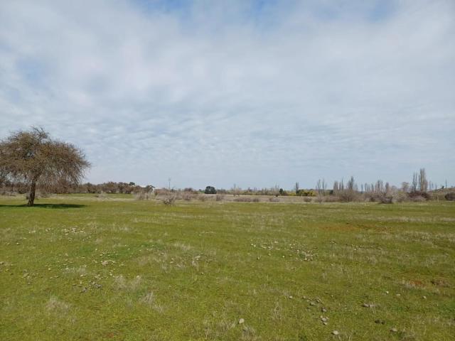 Terreno en Parral