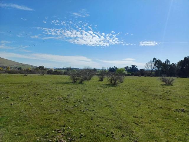 Terreno en Parral
