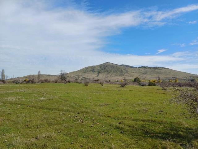 Terreno en Parral