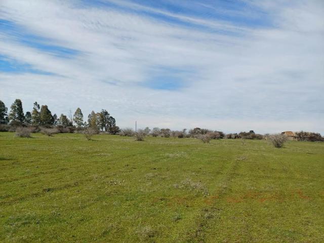 Terreno en Parral