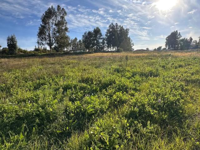 Terreno en venta en Santa Rita, Pelarco