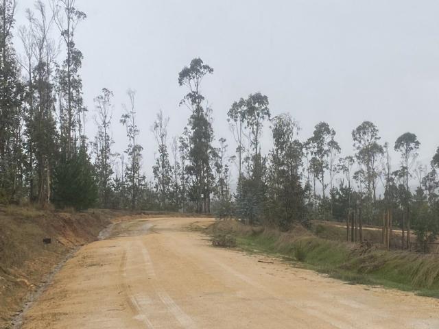 Terreno en Pichilemu