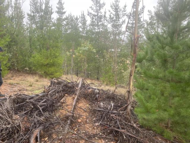 Terreno en Pichilemu