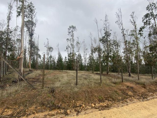 Terreno en Pichilemu