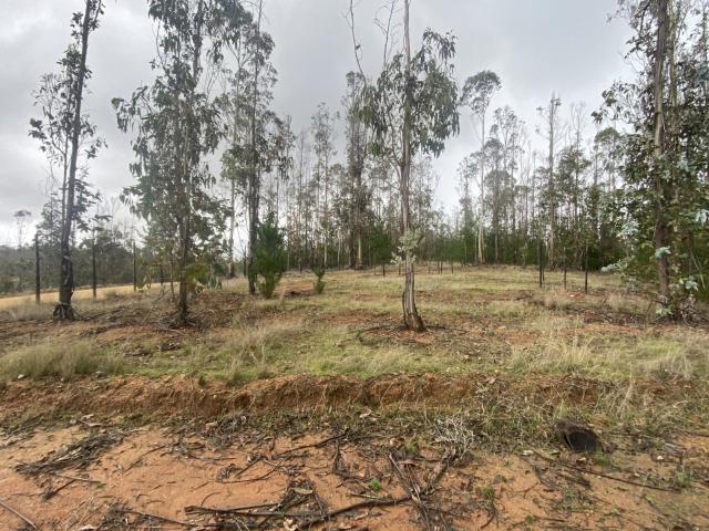 Terreno en Pichilemu