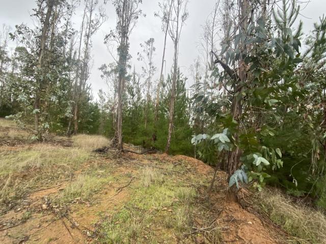 Terreno en Pichilemu