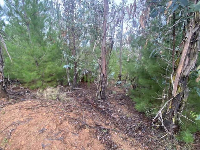 Terreno en Pichilemu