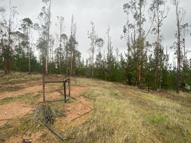 Terreno en Pichilemu
