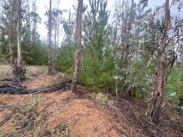 Terreno en Pichilemu