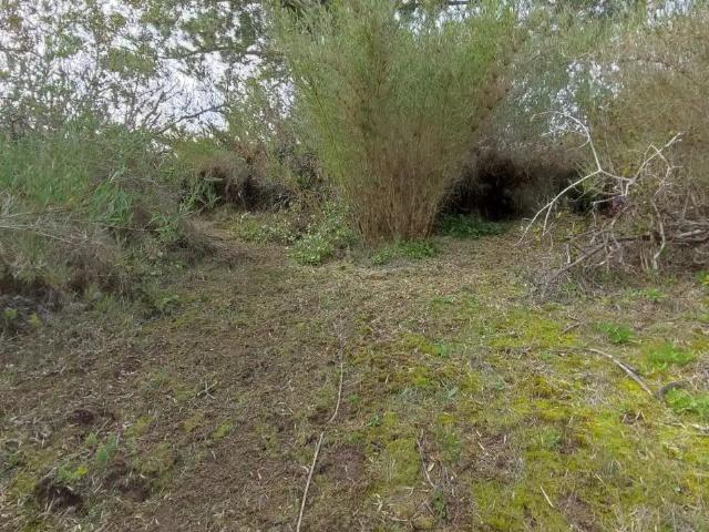 Terreno en Pichilemu