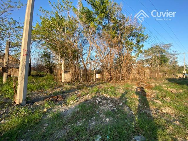 Terreno en venta en González, Tamaulipas