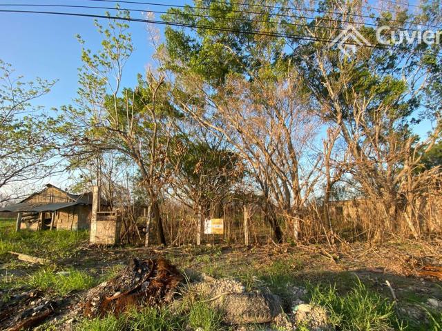 Terreno en venta en González, Tamaulipas