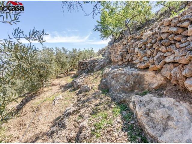 Local Comercial en venta en Valle del Almanzora, Andalucía