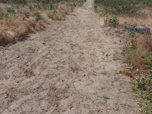 TERRENO EN PIURA, 4.40 Ha, Carretera Sullana Tambo Grande