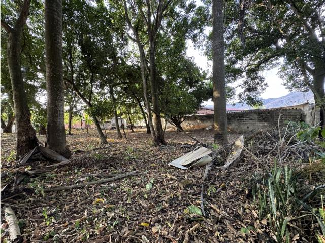 Terreno en venta en Iragorry, Aragua