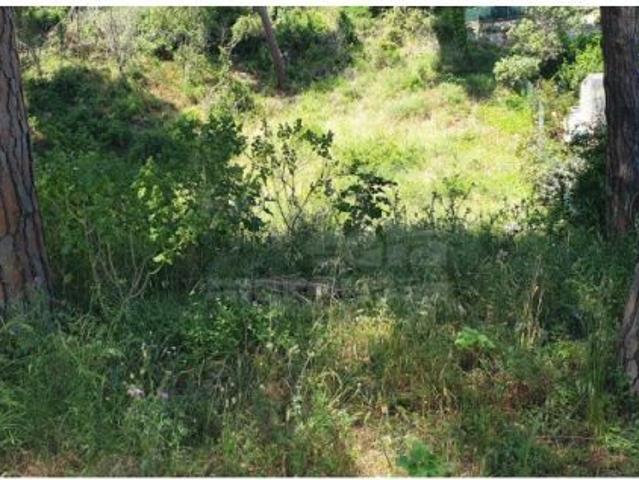 Local Comercial en venta en Baix Empordà, Catalunya