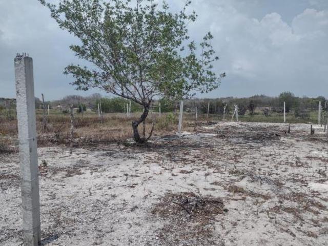Terreno en Playa Celestun Urge Vender