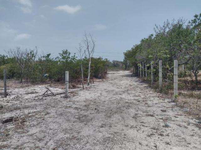 Terreno en Playa Celestun Urge Vender