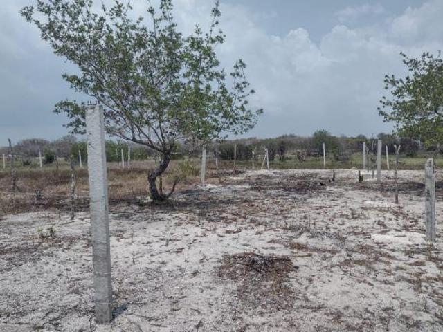 Terreno en Playa Celestun Urge Vender