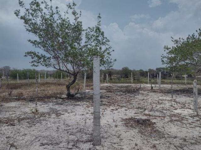 Terreno en Playa Celestun Urge Vender