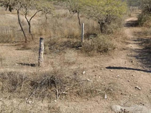 Terreno en venta en Armadillo De Los Infante, San Luis Potosí