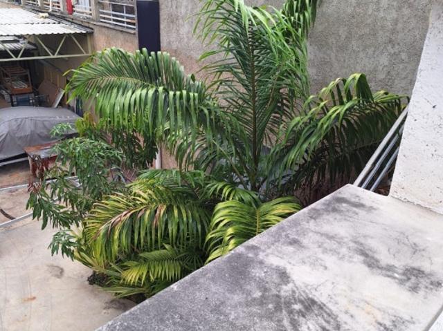 Terreno en venta en Ramón Ignacio Méndez, Barinas