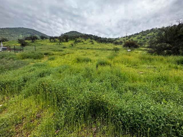 Terreno en Pudahuel