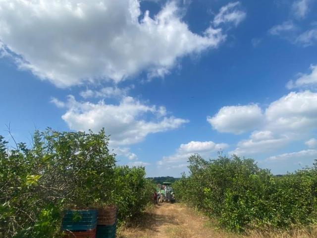 Terreno en venta en Playa Vicente, Veracruz