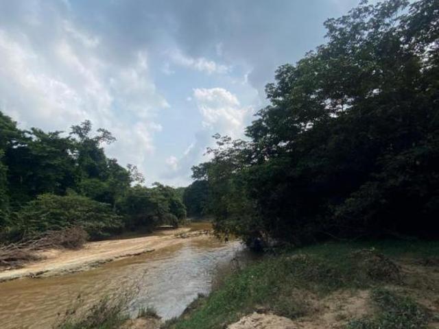 Terreno en venta en Playa Vicente, Veracruz