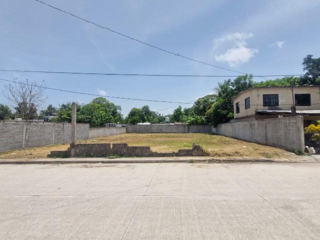 Terreno en renta en Anahuac - Col. Centro, Anáhuac