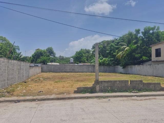 Terreno en renta en Anahuac - Col. Centro, Anáhuac