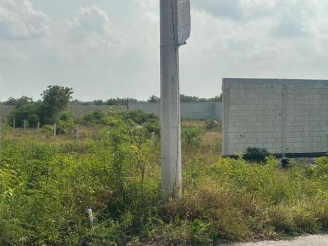 Terreno en venta en Celestún, Yucatán