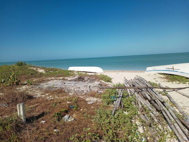 Terreno en venta en Celestún, Yucatán