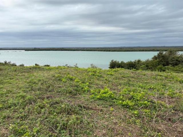 Terreno en venta en Tamalín, Veracruz
