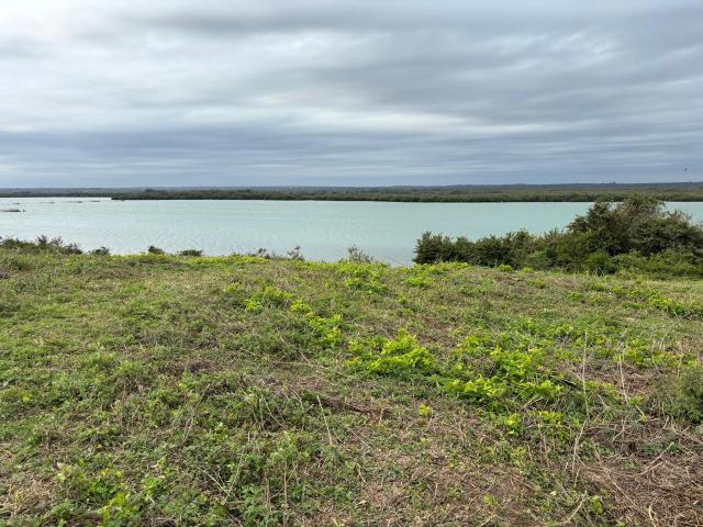 Terreno en venta en Tamalín, Veracruz