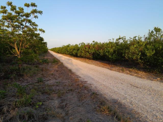 Terreno en venta en Oxkutzcab, Yucatán